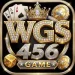 WGS 456 Game WGS 456 Game Download 2026 WGS 456 Game apk